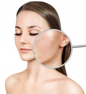 Collagen and elastin